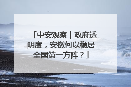 中安观察｜政府透明度，安徽何以稳居全国第一方阵？