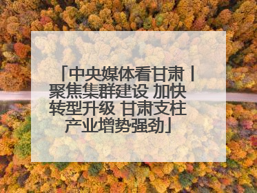 中央媒体看甘肃丨聚焦集群建设 加快转型升级 甘肃支柱产业增势强劲
