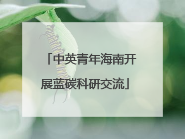 中英青年海南开展蓝碳科研交流