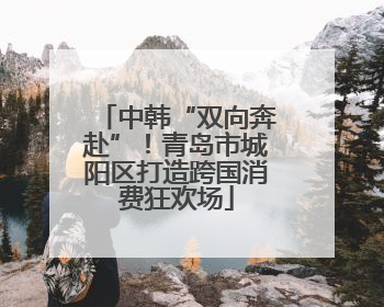 中韩“双向奔赴”！青岛市城阳区打造跨国消费狂欢场