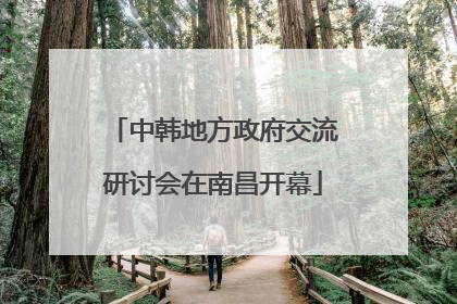中韩地方政府交流研讨会在南昌开幕