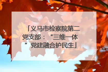义马市检察院第二党支部：“三维一体”党建融合护民生
