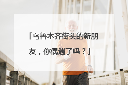 乌鲁木齐街头的新朋友，你偶遇了吗？