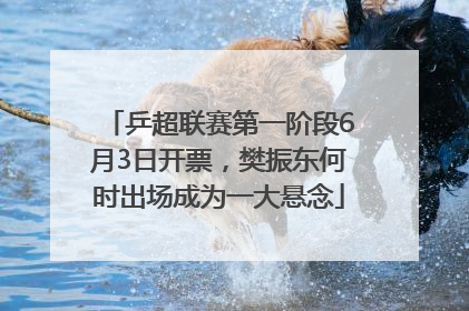乒超联赛第一阶段6月3日开票，樊振东何时出场成为一大悬念
