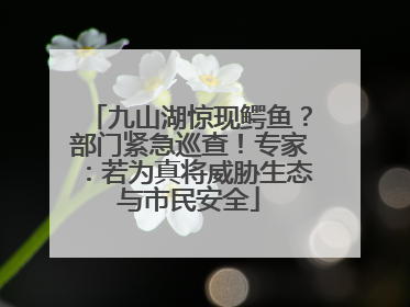 九山湖惊现鳄鱼？部门紧急巡查！专家：若为真将威胁生态与市民安全
