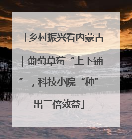 乡村振兴看内蒙古｜葡萄草莓“上下铺”，科技小院“种”出三倍效益