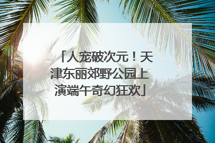 人宠破次元！天津东丽郊野公园上演端午奇幻狂欢