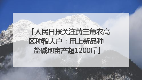 人民日报关注黄三角农高区种粮大户：用上新品种 盐碱地亩产超1200斤