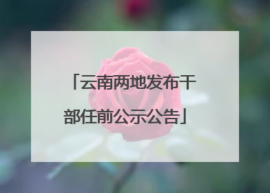 云南两地发布干部任前公示公告