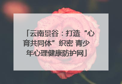 云南景谷：打造“心育共同体”织密 青少年心理健康防护网