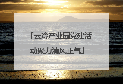 云冷产业园党建活动聚力清风正气