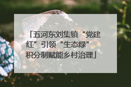 五河东刘集镇“党建红”引领“生态绿” 积分制赋能乡村治理