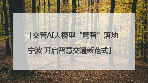 交管AI大模型“鹰智”落地宁波 开启智慧交通新范式