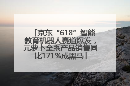 京东“618”智能教育机器人赛道爆发，元萝卜全系产品销售同比171%成黑马
