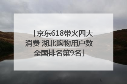 京东618带火四大消费 湖北购物用户数全国排名第9名