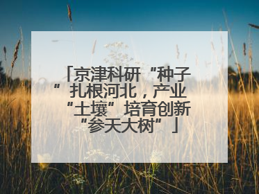 京津科研“种子”扎根河北，产业“土壤”培育创新“参天大树”