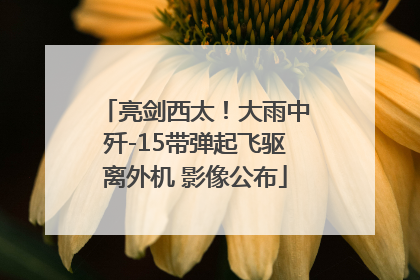 亮剑西太！大雨中歼-15带弹起飞驱离外机 影像公布