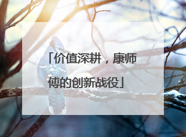 价值深耕，康师傅的创新战役
