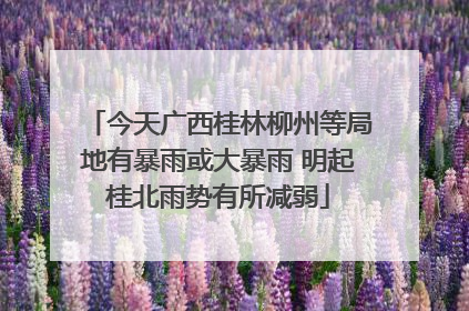 今天广西桂林柳州等局地有暴雨或大暴雨 明起桂北雨势有所减弱
