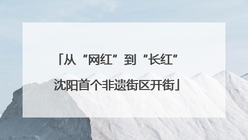 从“网红”到“长红” 沈阳首个非遗街区开街