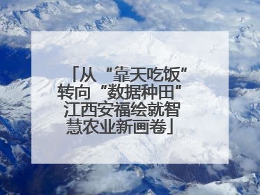从“靠天吃饭”转向“数据种田” 江西安福绘就智慧农业新画卷
