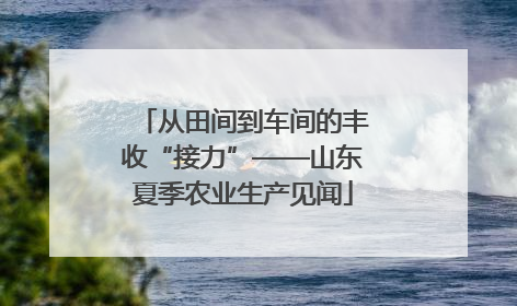 从田间到车间的丰收“接力”——山东夏季农业生产见闻