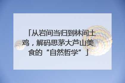 从岩间当归到林间土鸡，解码思茅大芦山美食的“自然哲学”