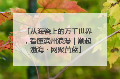 从海瓷上的万千世界，看懂滨州浪漫｜潮起渤海・网聚黄蓝