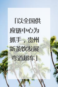 以全国供应链中心为抓手，贵州新茶饮发展弯道超车