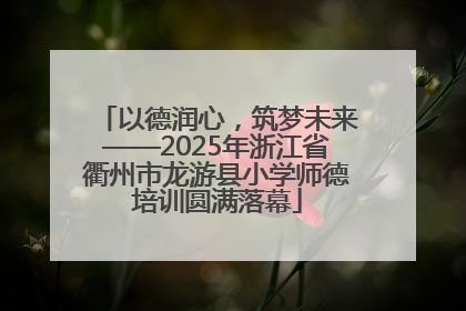 以德润心，筑梦未来——2025年浙江省衢州市龙游县小学师德培训圆满落幕