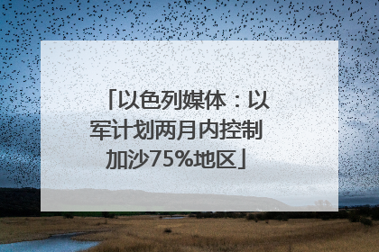 以色列媒体：以军计划两月内控制加沙75%地区