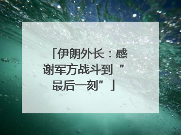 伊朗外长：感谢军方战斗到“最后一刻”