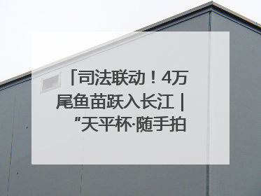 司法联动！4万尾鱼苗跃入长江｜“天平杯·随手拍”作品展播