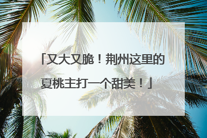 又大又脆！荆州这里的夏桃主打一个甜美！