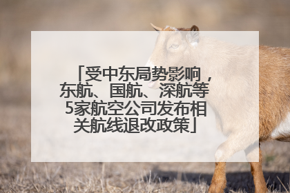 受中东局势影响，东航、国航、深航等5家航空公司发布相关航线退改政策
