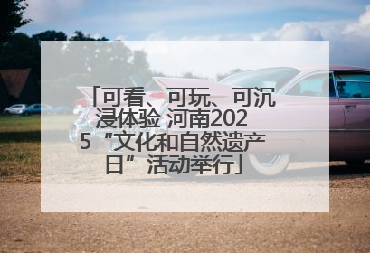 可看、可玩、可沉浸体验 河南2025“文化和自然遗产日”活动举行