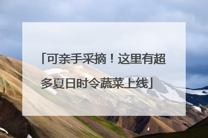 可亲手采摘！这里有超多夏日时令蔬菜上线
