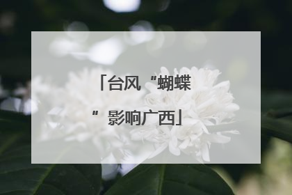 台风“蝴蝶”影响广西