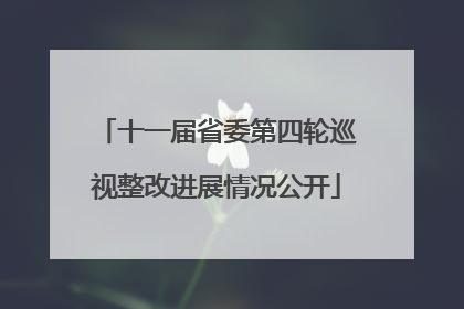 十一届省委第四轮巡视整改进展情况公开