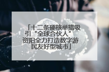 十二条硬核举措吸引“全球合伙人” 资阳全力打造数字游民友好型城市