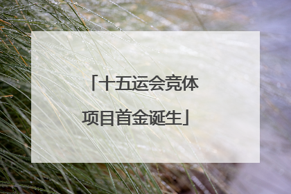 十五运会竞体项目首金诞生
