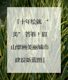 十年绘就 “美” 答卷！眉山擘画美丽城市建设新蓝图
