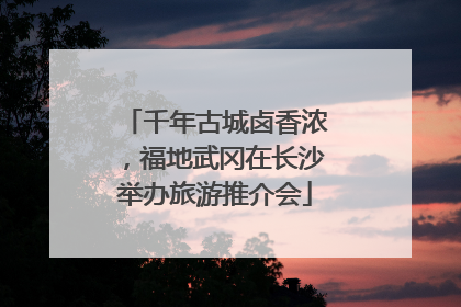 千年古城卤香浓，福地武冈在长沙举办旅游推介会