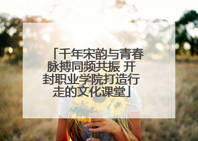 千年宋韵与青春脉搏同频共振 开封职业学院打造行走的文化课堂