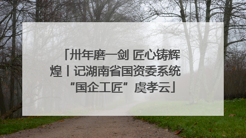 卅年磨一剑 匠心铸辉煌丨记湖南省国资委系统“国企工匠”虞孝云