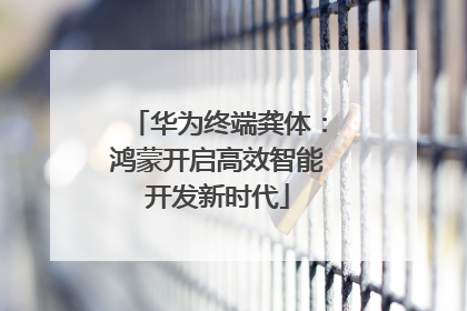 华为终端龚体：鸿蒙开启高效智能开发新时代