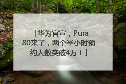 华为官宣，Pura 80来了，两个半小时预约人数突破4万！