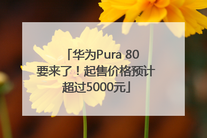 华为Pura 80要来了！起售价格预计超过5000元