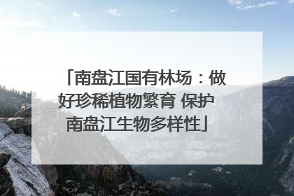南盘江国有林场：做好珍稀植物繁育 保护南盘江生物多样性