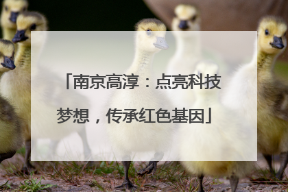 南京高淳：点亮科技梦想，传承红色基因